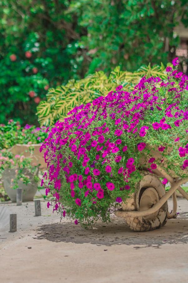 Ceylon Kingsmen Garden - Katunayake Hotel
