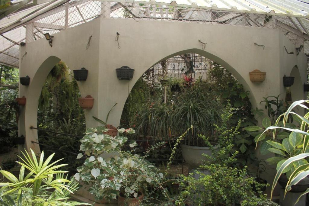Ceylon Kingsmen Garden - Katunayake *
