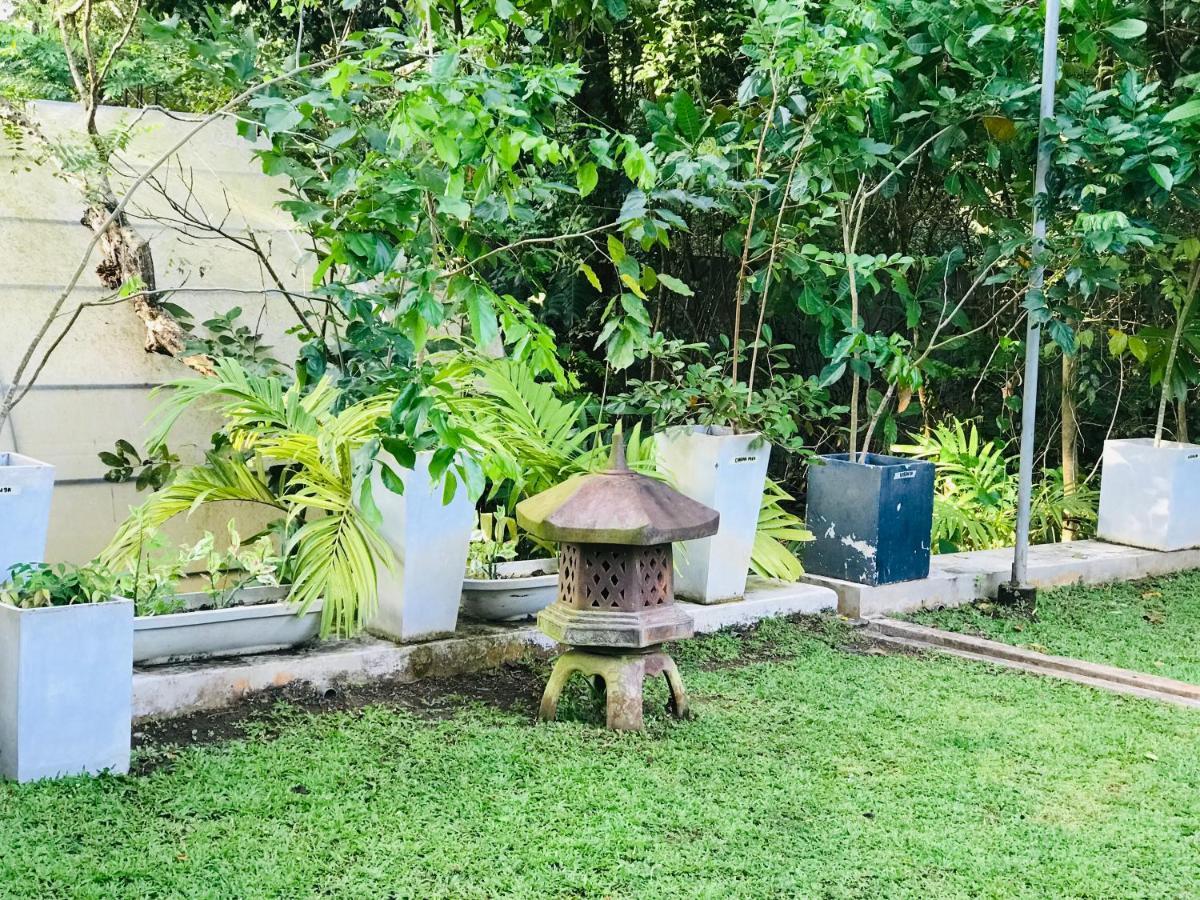 Hotel Ceylon Kingsmen Garden - Katunayake Negombo