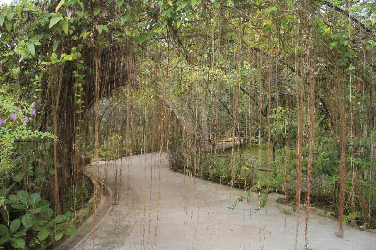 Ceylon Kingsmen Garden - Katunayake Hotel *